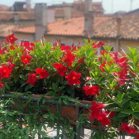 Heaven Ca' Giulia Апартаменты *
