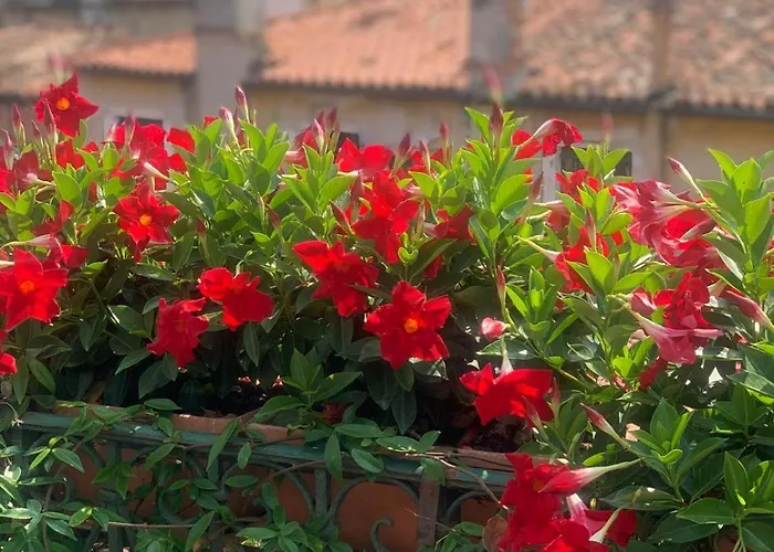 Elegant Top Floor Terrace Apartment 4 Min From St Mark S Square No Lift Venice Heaven Apartments Collection Appartement *